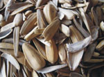 Rice Husk