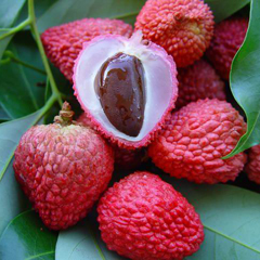 Fresh Lychee