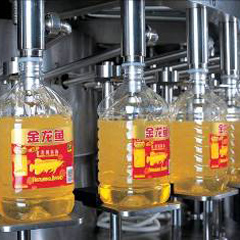 Vegetable Oil Processing Plant