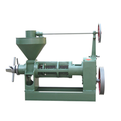 6yl-100 oil press