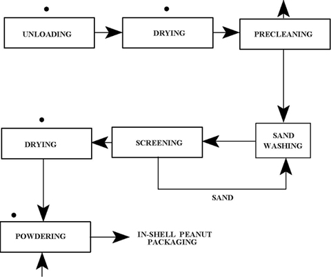 processus de récolte de l'arachide