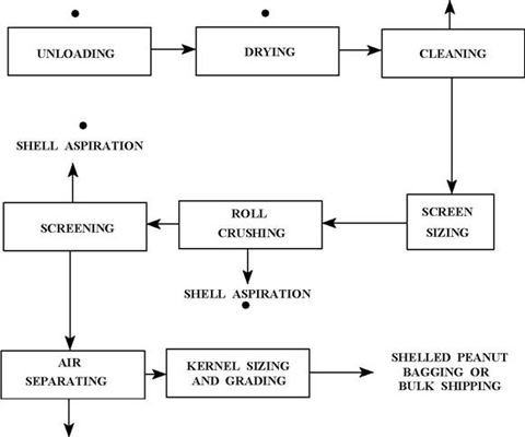 peanut shelling machine