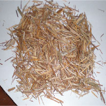 wood chip