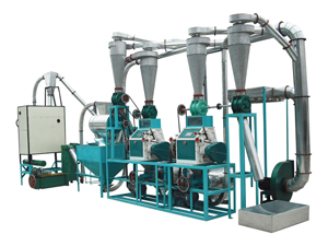 Small Set of Flour Mill Plant