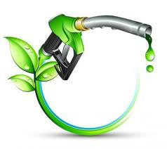 biodiesel fuel