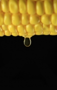 How Corn Oil Press Make Corn Oil
