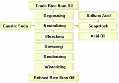 Rice Bran Oil Extraction Process