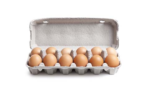 12 Egg Box