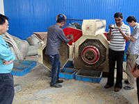 Peanut Shell Pellet Mill