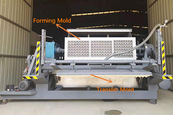 AGICO Apple Tray Machine