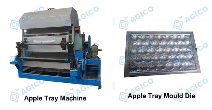 Apple Tray Making Machine
