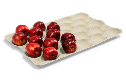 apple tray