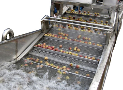 fruit cleaning machine