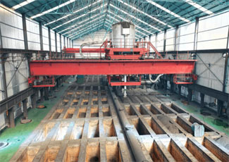 Roasting Process