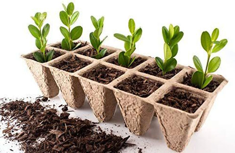 seedling tray