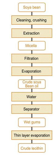 Vegetable Oil Processing