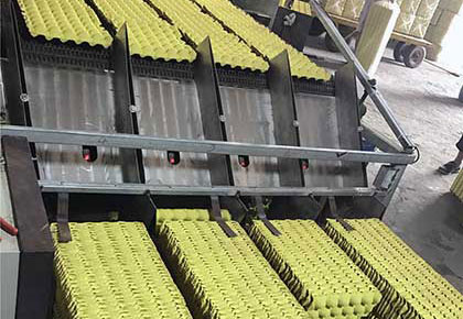 Packing System