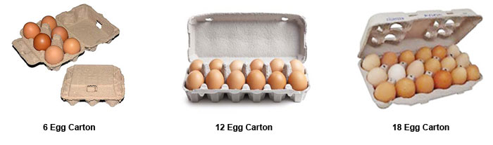 Final Egg Cartons