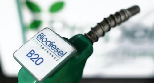 biodiesel application