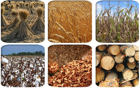 biofuel materials