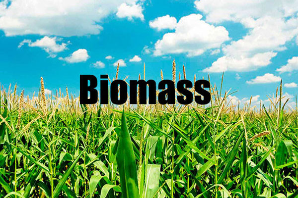 biomass energy