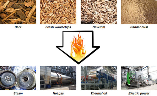 biomass fuel briquette application