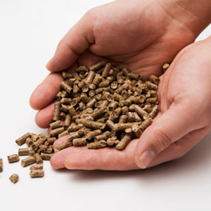 biomass pellets