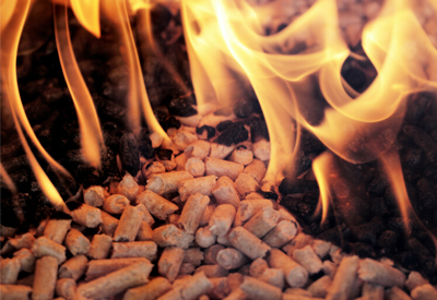 burning biomass pellets