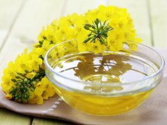 Canola Oil Plant-A Good Business Investment for You
