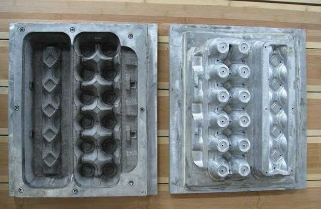 Egg Carton Molds