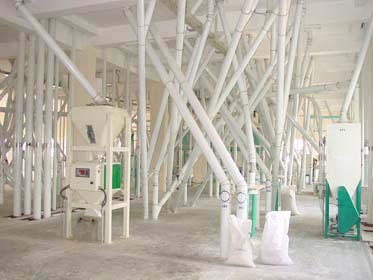 1st floor flour mill plant 