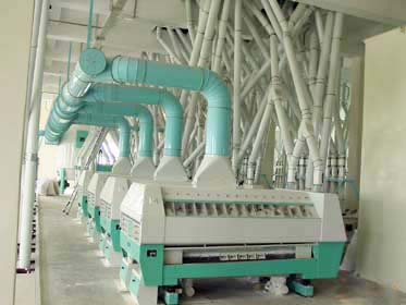 4st floor flour mill plant