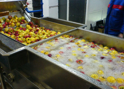 fruit bubble washing machine