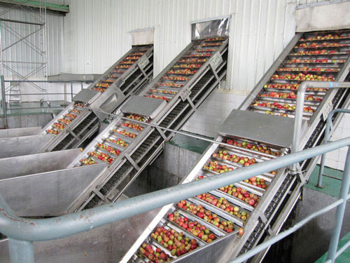fruit conveyor fruit elevator