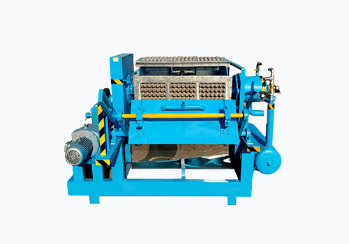 AGICO Apple Tray Machine for Sale