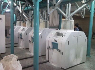 Large Set of Flour Mill Plant