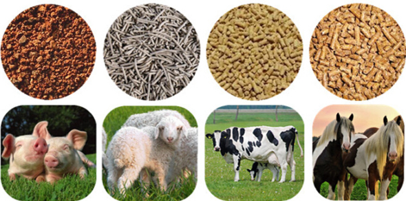 make animal feed into pellets