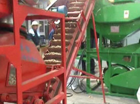 peanut shelling machine processing