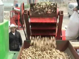 peanut shelling machine