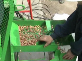 peanut shelling machine process