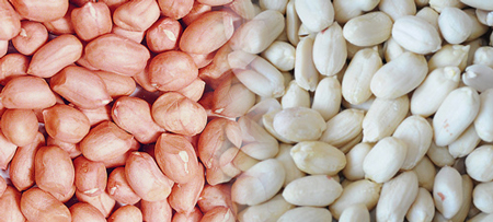 peeled peanuts