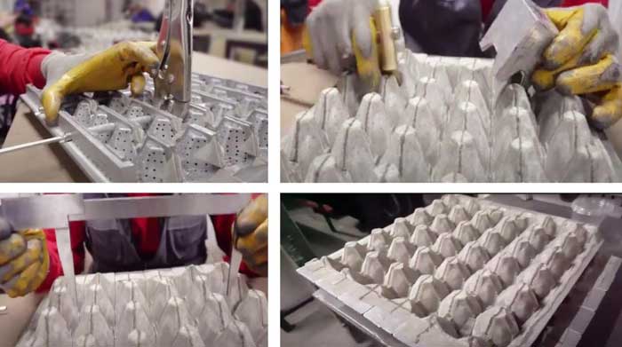 Manufacturing Process Of Pulp Mold Dies
