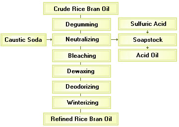 rice bran oil extraction proces