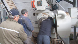 sawdust pellet mill installation