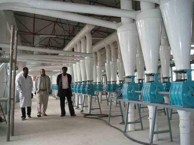 wheat flour milling plant